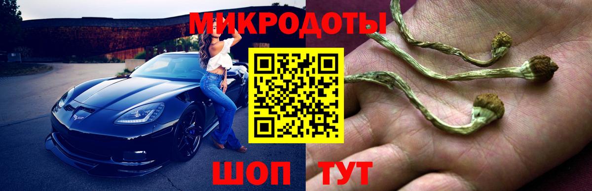 Псилоцибиновые грибы прущие грибы  Вход с VPN  Муром 
